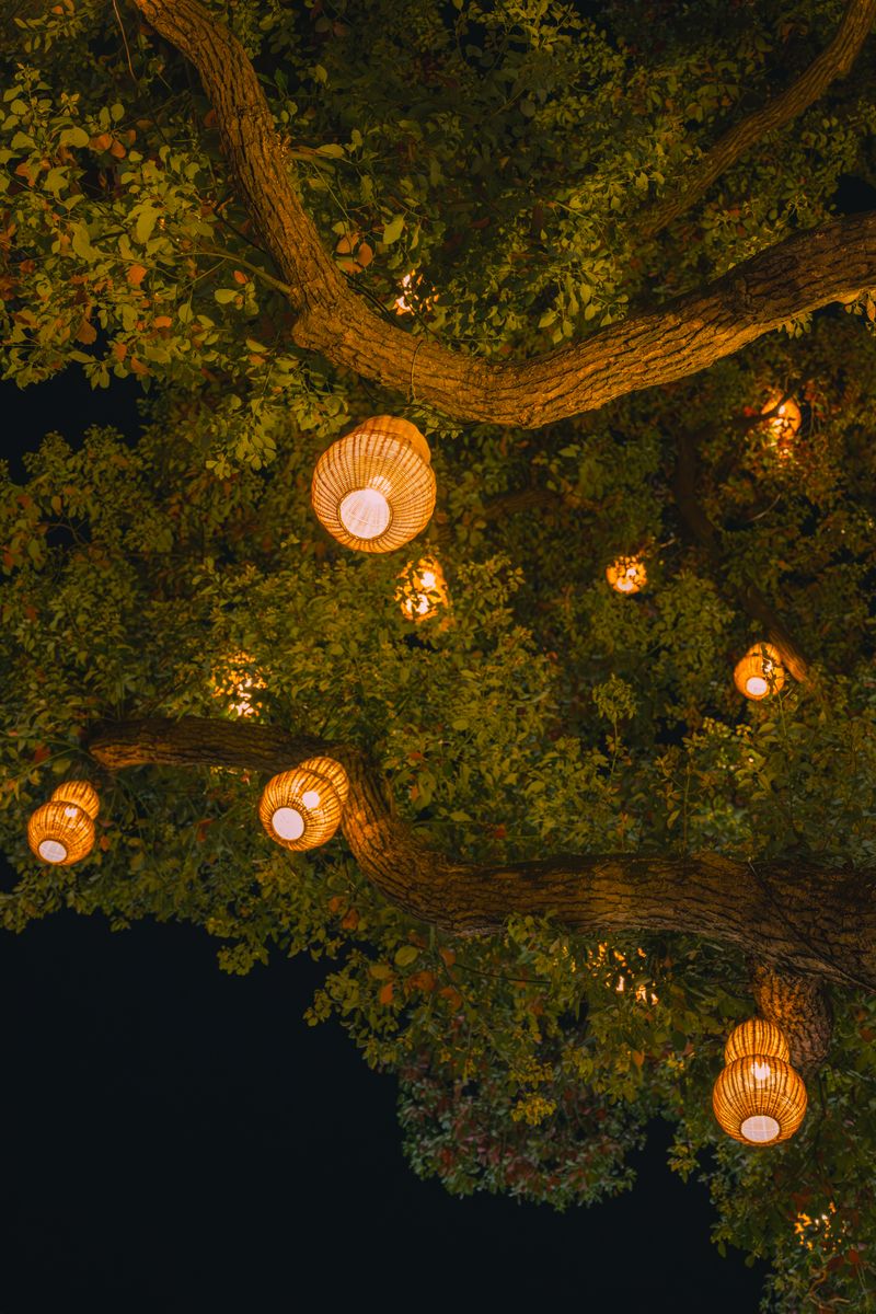 Christmas Eve Lantern Walk